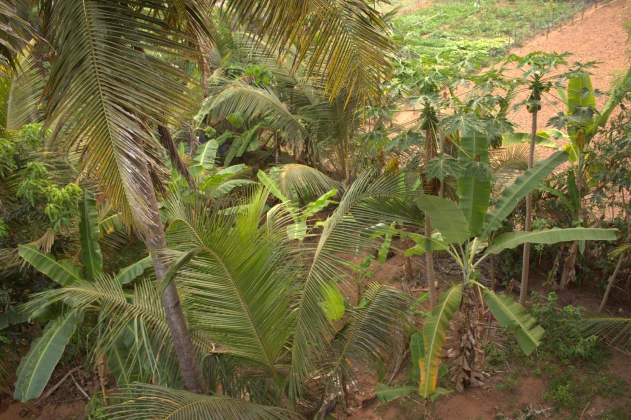 Surya Guest House Gokarna (Karnataka) Exterior foto